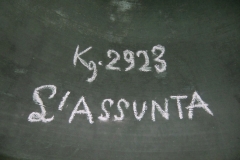 thumbs_CIMG7712